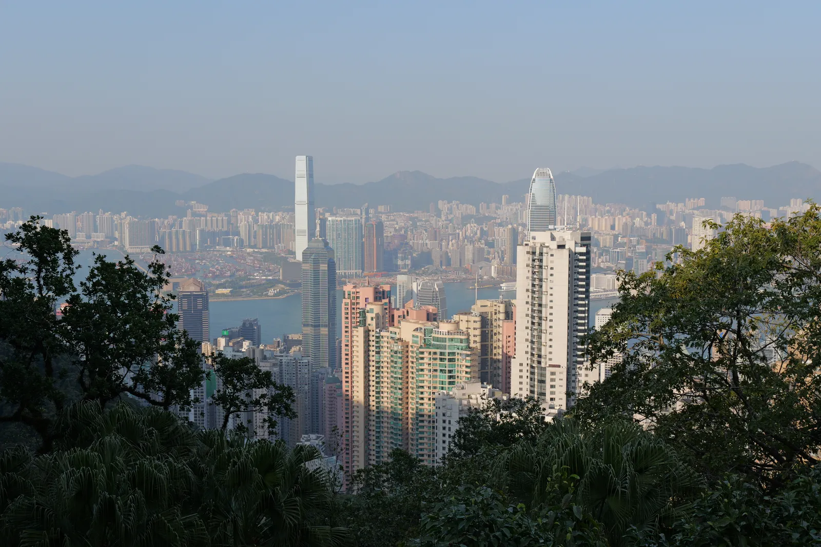 P1000574