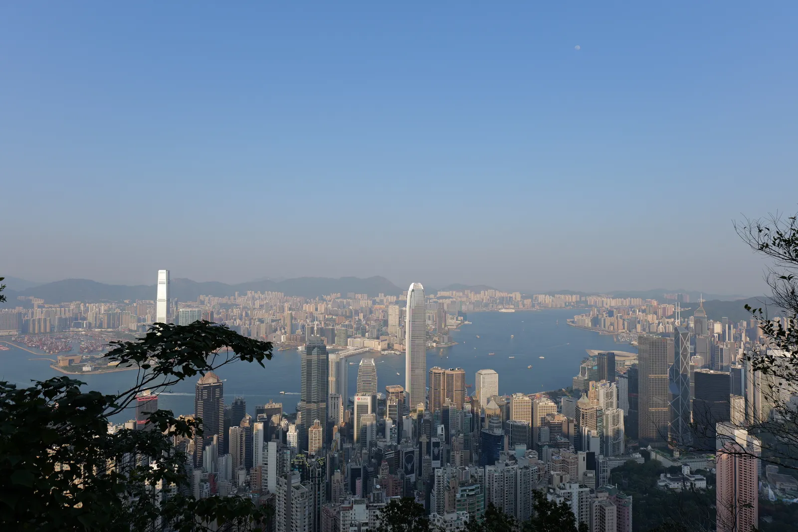 P1000594