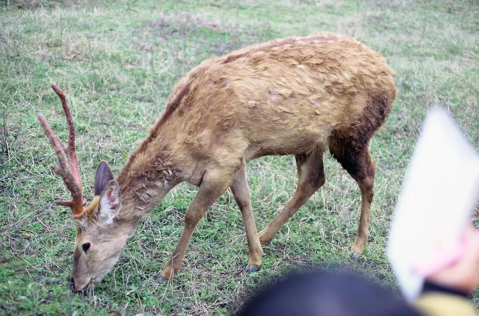 微信图片_20240109013918
